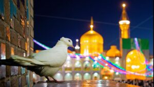 تراکم خودپردازها در ایران